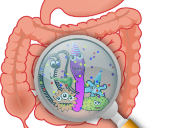 How To Improve Gut Health For Better Sleep