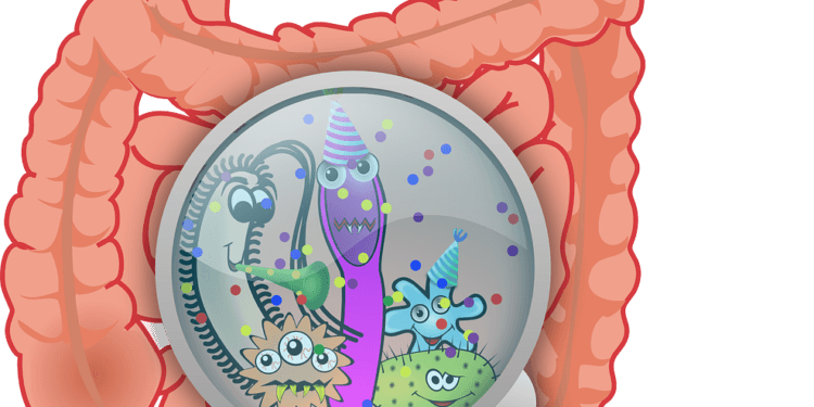 How To Improve Gut Health For Better Sleep