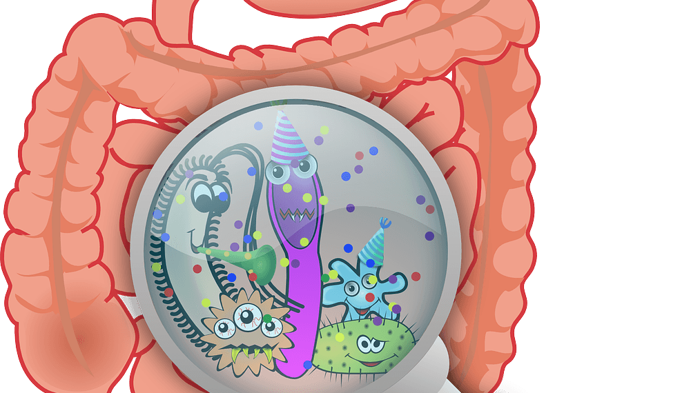 How To Improve Gut Health For Better Sleep