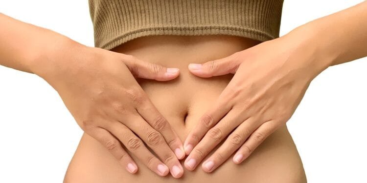 ibs, probiotic, gut, stomach, colon, digestion, digestive, digesting, gastrointestinal, gastric, gut, gut, gut, gut, stomach, stomach, stomach, colon, digestion, digestion, digestion, digestion, digestion, digestive