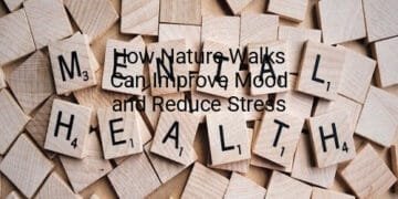 How Nature Walks Can Improve Mood and Reduce Stress