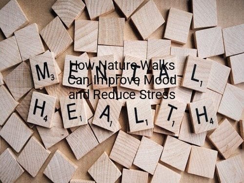 How Nature Walks Can Improve Mood and Reduce Stress
