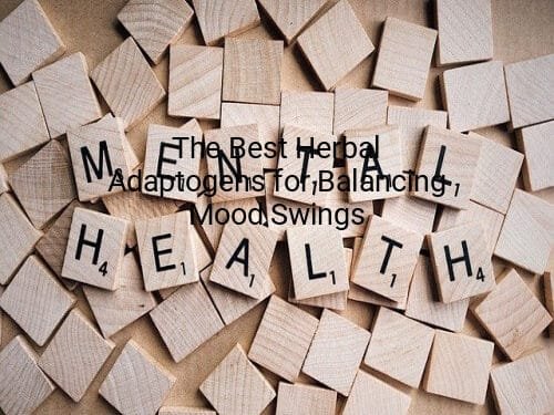 The Best Herbal Adaptogens for Balancing Mood Swings