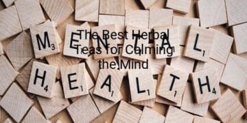The Best Herbal Teas for Calming the Mind