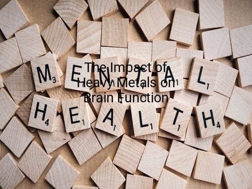 The Impact of Heavy Metals on Brain Function