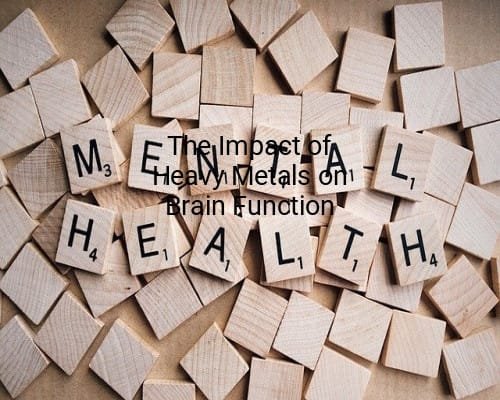 The Impact of Heavy Metals on Brain Function