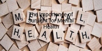 The Importance of Sunlight for Mental Health