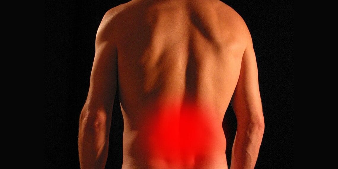 back, pain, spine, injury, backache, sciatica, physiotherapy, man, painful, health, pain, pain, pain, pain, pain, spine, spine, injury, backache, sciatica, sciatica, physiotherapy