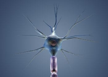 neuron, cyton, dendrites, science, nerve, anatomy, biology, medical, neuron, neuron, neuron, neuron, neuron, nerve, nerve