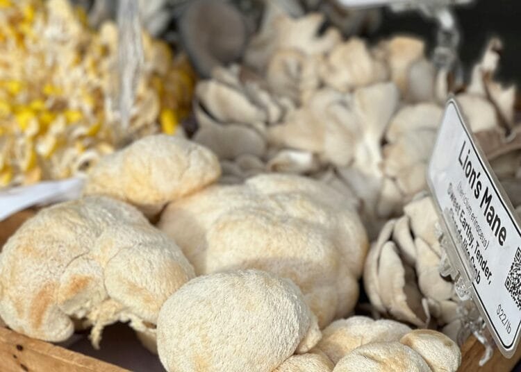 A variety of gourmet mushrooms, including Lion's Mane, displayed in a rustic wooden crate.