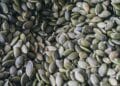 A close-up shot of organic pumpkin seeds showcasing their natural texture and green hue.