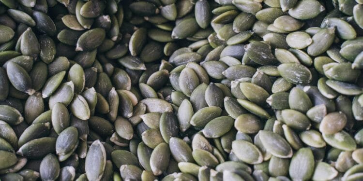 A close-up shot of organic pumpkin seeds showcasing their natural texture and green hue.