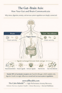 Gut brain axis diagram showing communication between the brain and gut through the vagus nerve and how digestion influences mood and nervous system regulation.