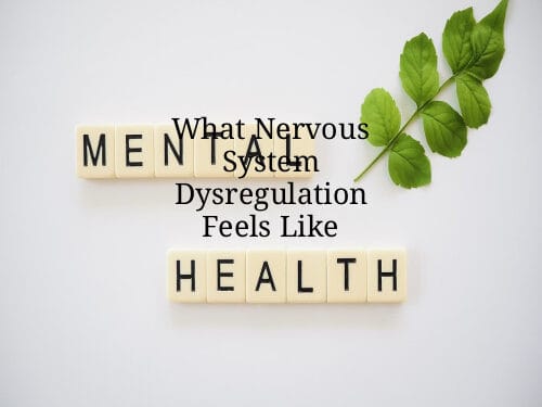 What Nervous System Dysregulation Feels Like
