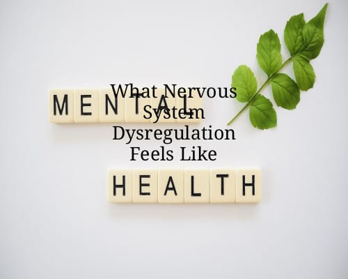 What Nervous System Dysregulation Feels Like