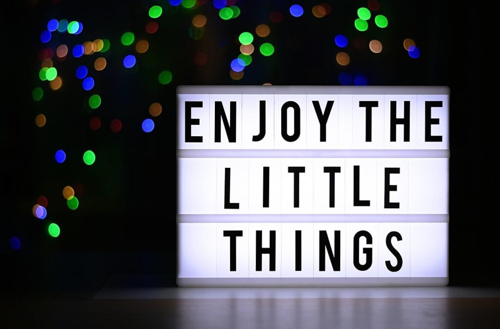 the little things of life, enjoy, gratitude, motivation, courage, saying, life, bokeh, board, gratitude, gratitude, gratitude, gratitude, gratitude, motivation