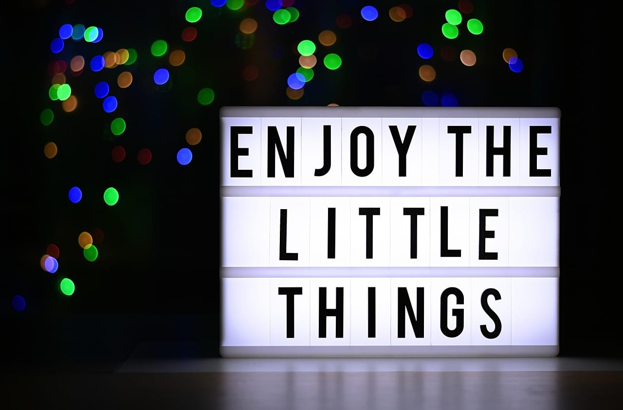the little things of life, enjoy, gratitude, motivation, courage, saying, life, bokeh, board, gratitude, gratitude, gratitude, gratitude, gratitude, motivation